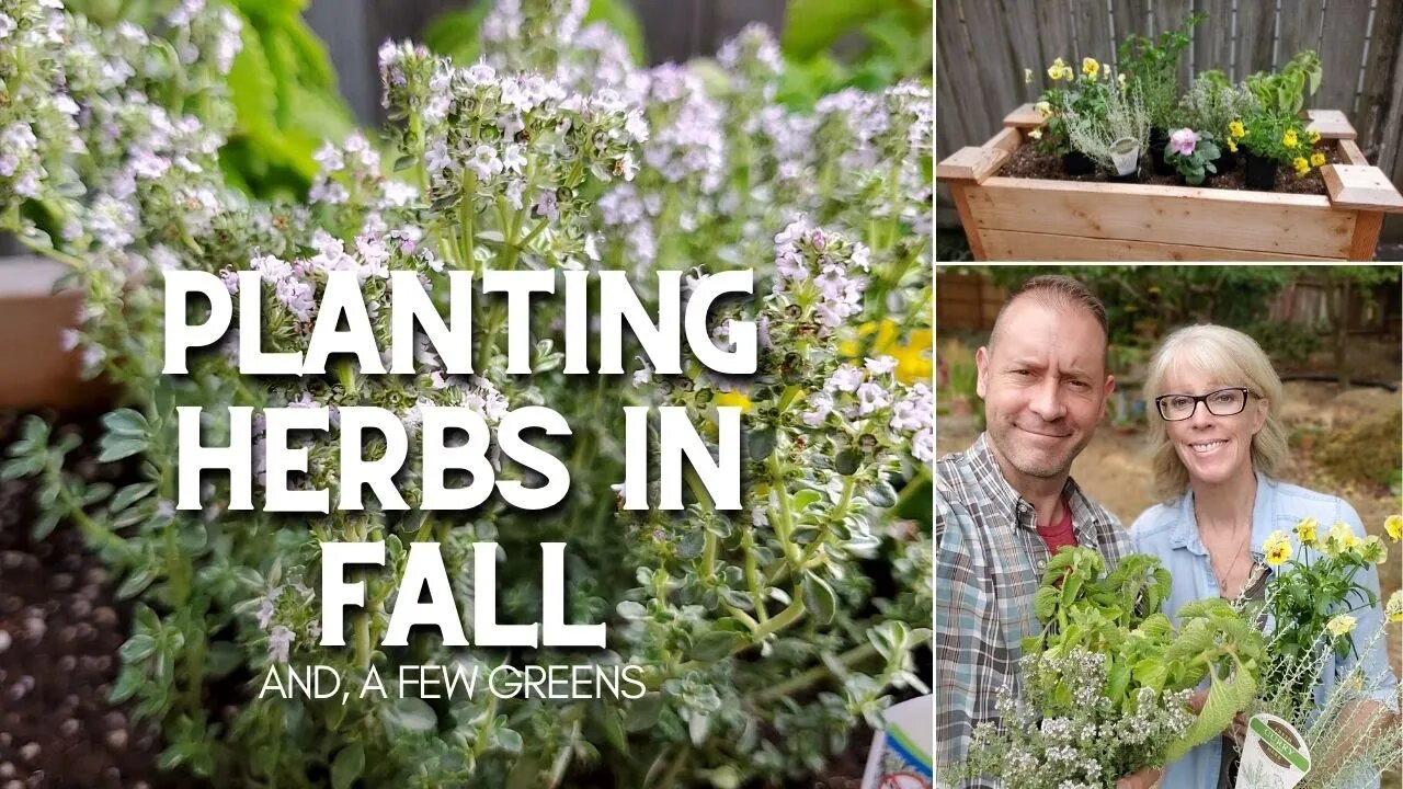 🌿 Planting Herbs in Fall | Fall Herb Planting 🌿