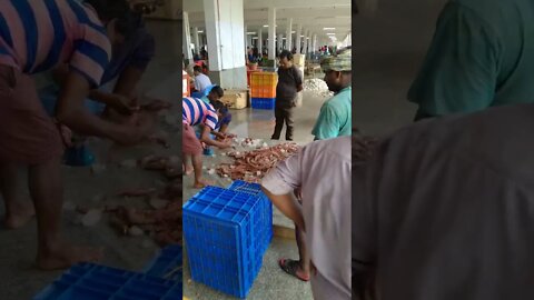 Everyone should watch this Fishermen's video - Catch Hundreds Tons Shrimp With Modern Big Boat