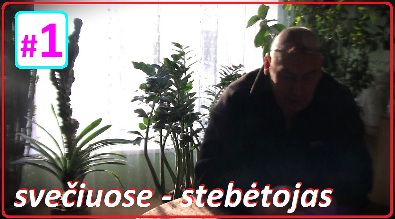 Svečiuose stebėtojas © marius #1
