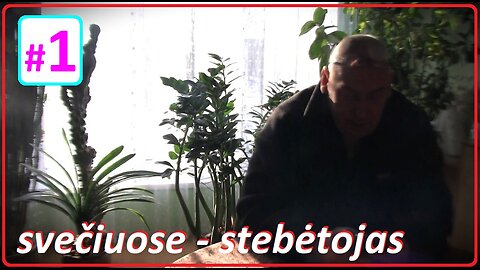 Svečiuose stebėtojas © marius #1