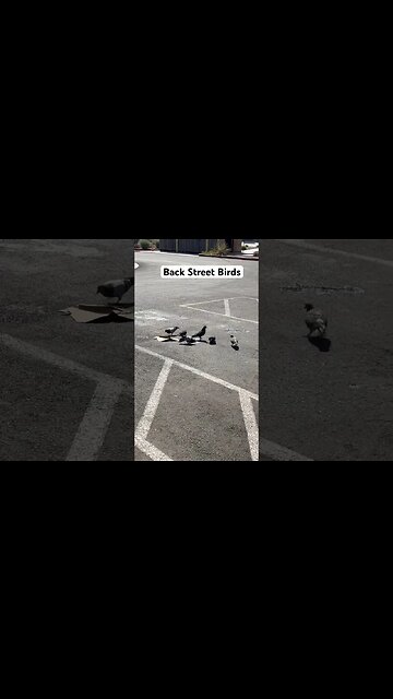 Las Vegas street performers. Backstreet Birds