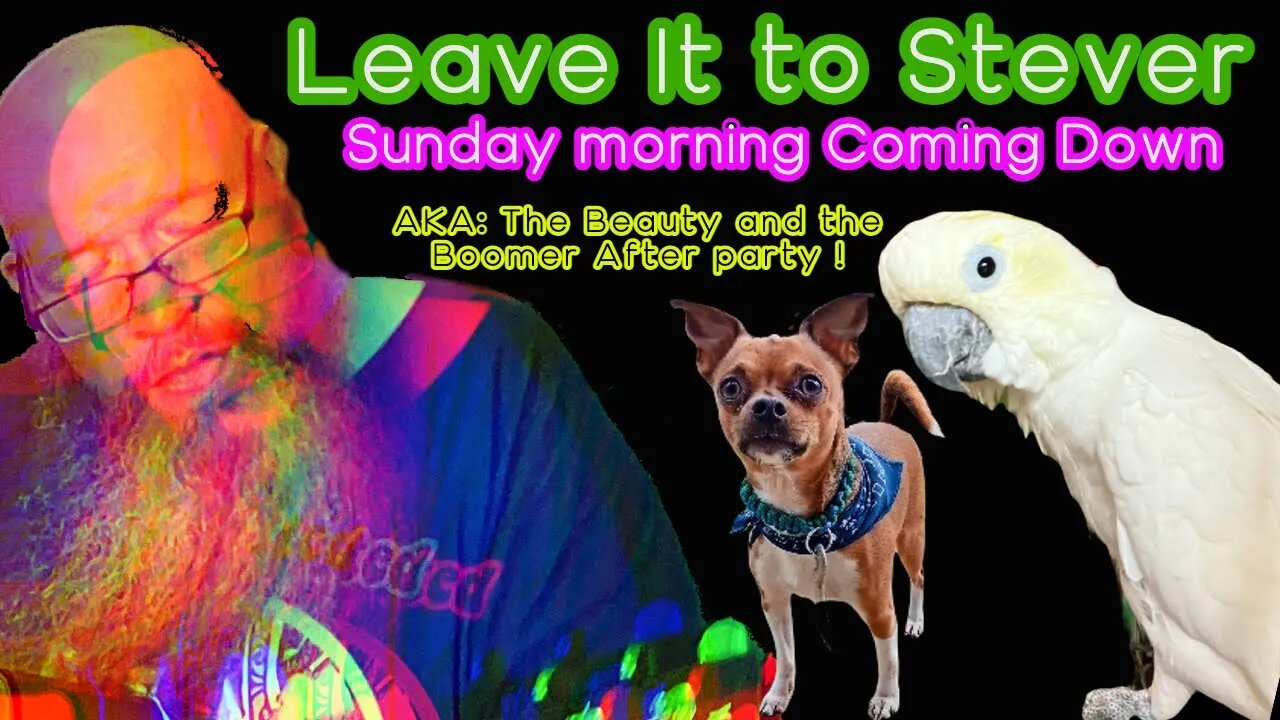 Leave it to Stever - Sunday morning coming Down AKA the Beauty and the Boomer After Party