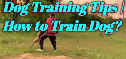 Dog Training Tips | 🤣🤣😂🔥🔥How to Train Dog? | Funny Dog Video | Smart Dog video |