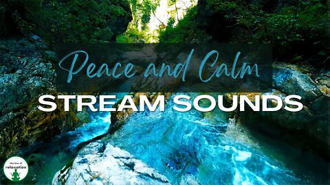 Peaceful Stream Sounds | Relaxation sounds for sleep and calm