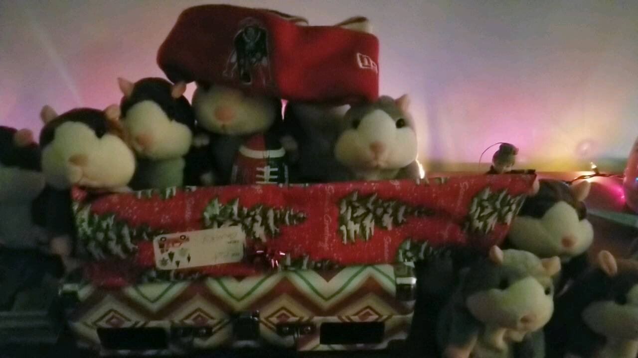 a Christmas Gerbo named Chunky