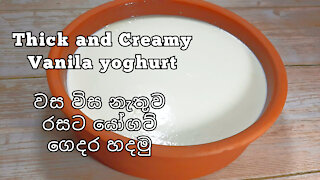 How to Make Yogurt at Home