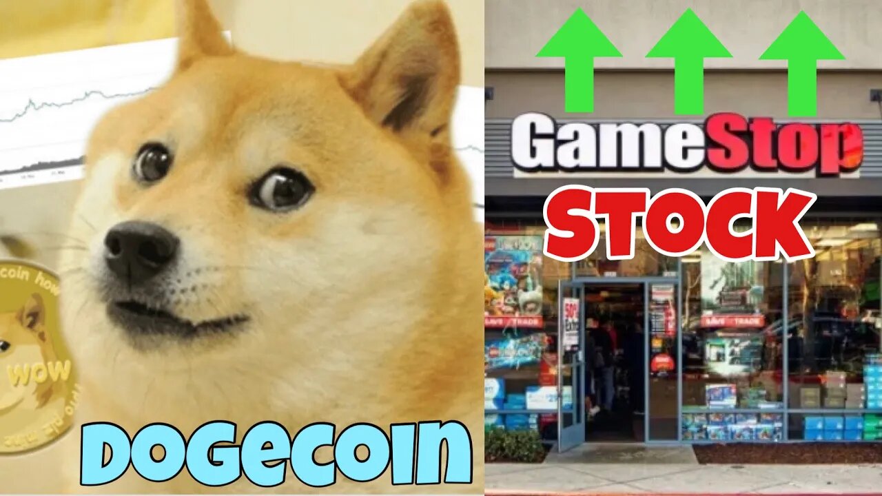 DogeCoin VS GameStop Stock VS BitCoin 💰 TIME TO GET RICH!!! 💰