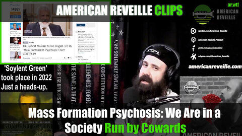 Mass Formation Psychosis: We Are in a Society Run by Cowards