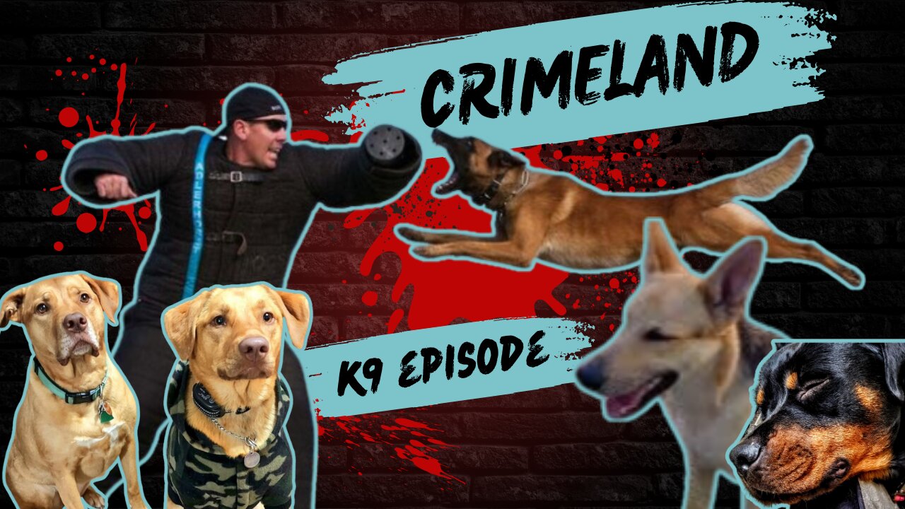 K9s with Florida Jim - Crimeland Episode 41