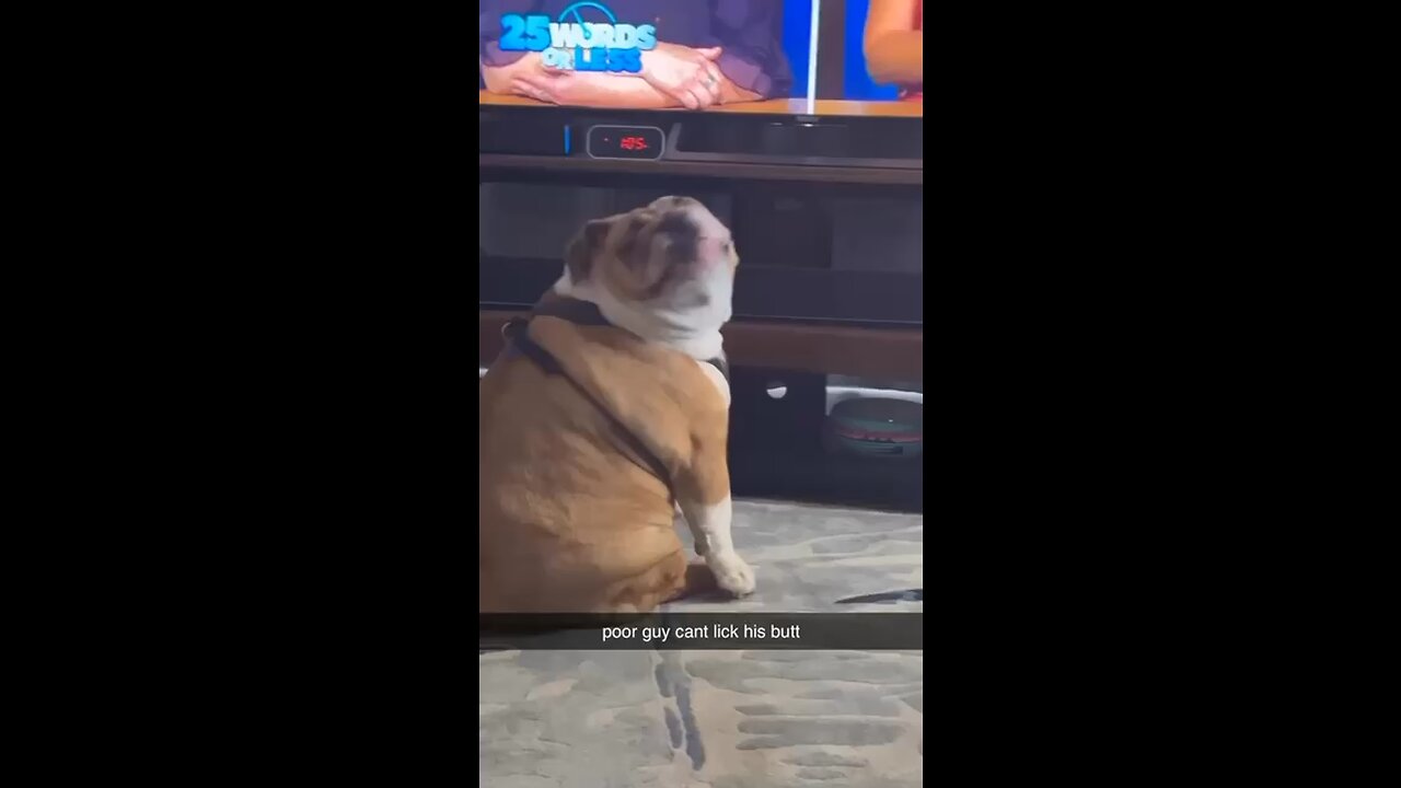 Poor guy can’t reach his butt