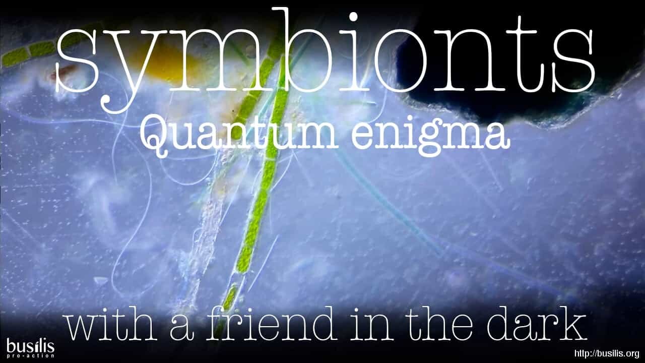 Quantum Enigma