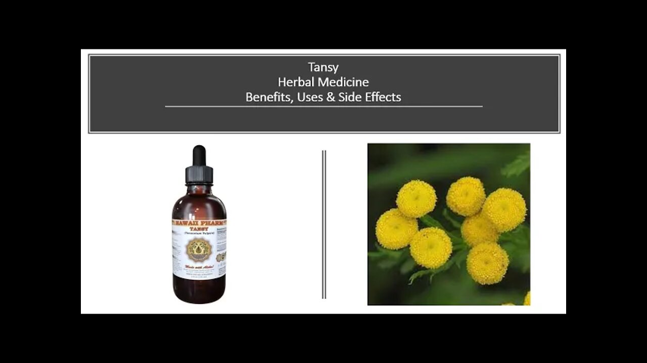 Tansy - Herbal Medicine - Benefits, Uses & Side Effects