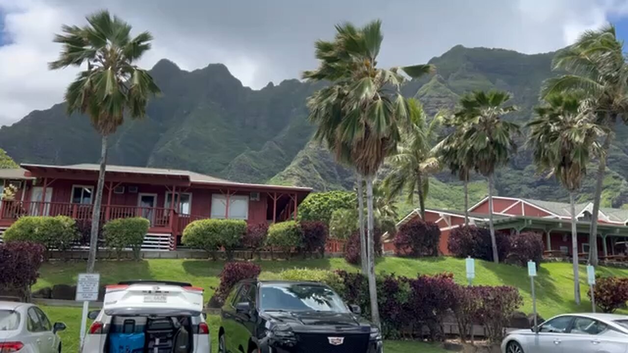 honolulu cool 😎 n funky