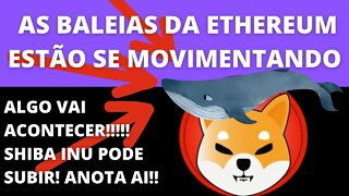 Algo vai acontecer!! Baleias estão comprando #SHIB - 200