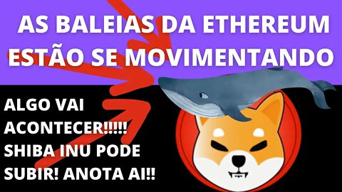 Algo vai acontecer!! Baleias estão comprando #SHIB - 200