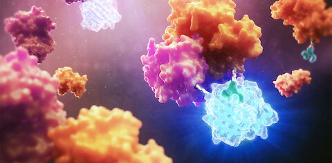 Medical / Luciferase-Modified Magnetic Nanoparticles In Medical Imaging