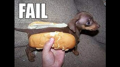 Pet fails-->try not to laugh