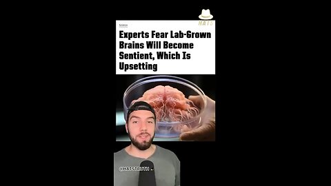 Lab Grown Brains (Made Of Stem Cells) Connected To A Computer 🤦🏼‍♂️🤔🧐🤔🤨