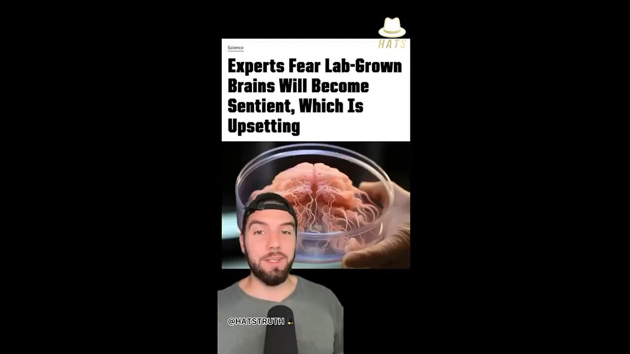 Lab Grown Brains (Made Of Stem Cells) Connected To A Computer ๐คฆ๐ผโโ๏ธ๐ค๐ง๐ค๐คจ