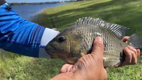 Wild FISHING.11/ Fishing for the oldest fish species, BARramundi. Wow!