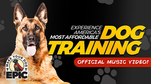 Make Your Dog Epic Dog Music Video | Schedule Your First Tulsa Dog Training Lesson for Just 50 Cents | Schedule Your First Lesson for Just 50 Cents At: www.MakeYourDogEpic.com