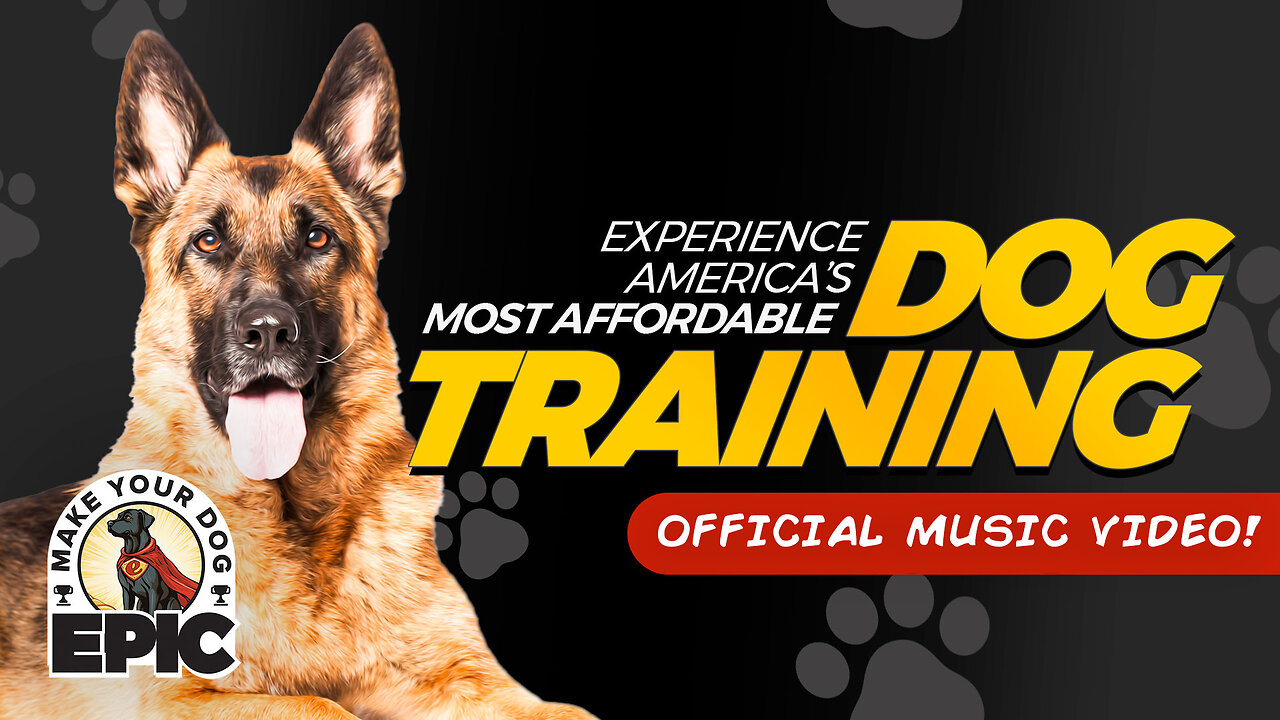 Make Your Dog Epic Dog Music Video | Schedule Your First Tulsa Dog Training Lesson for Just 50 Cents | Schedule Your First Lesson for Just 50 Cents At: www.MakeYourDogEpic.com