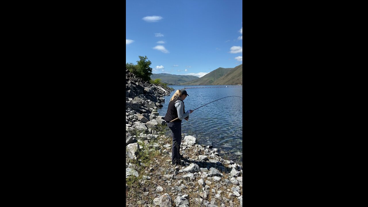 Idaho catfish