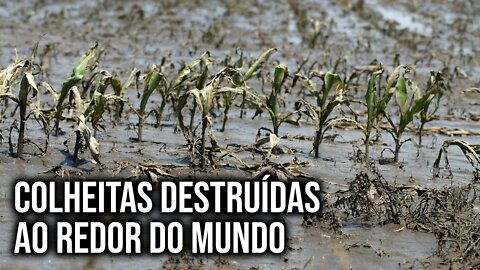 Teremos FOME mundial até 2030?