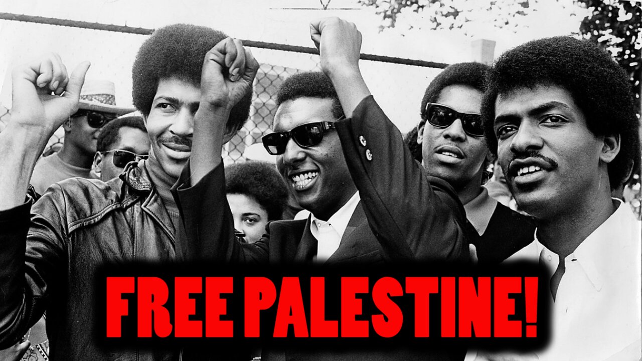 Why Are Black People Supporting Palestine ???