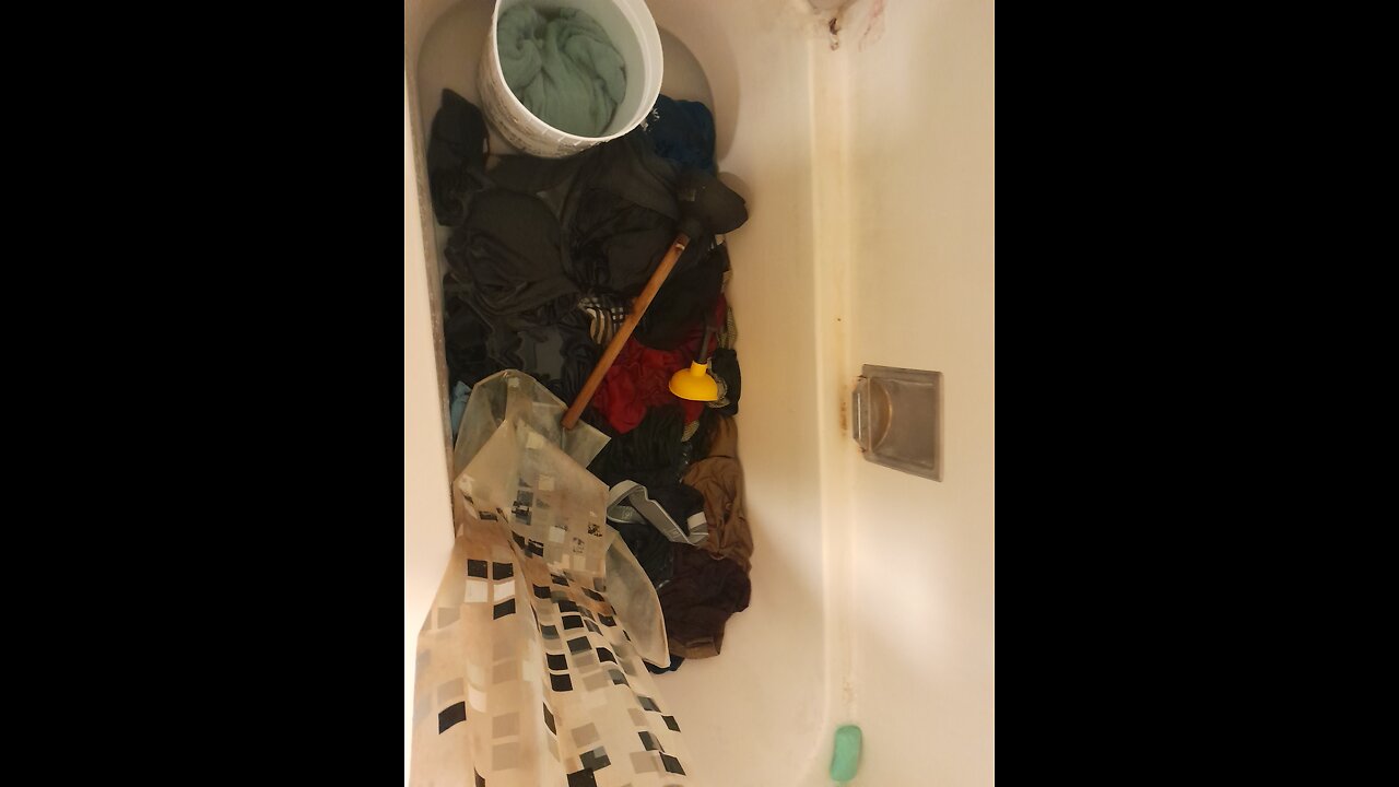 Neckbeard Nest Cleaning And Toilet Talk