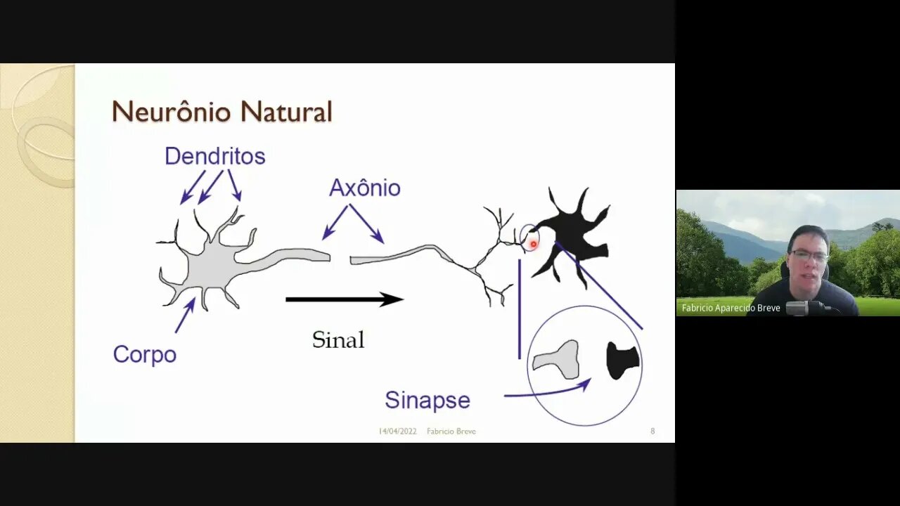 06 - Redes Neurais Artificiais - Parte 1 - Computação Inspirada pela Natureza