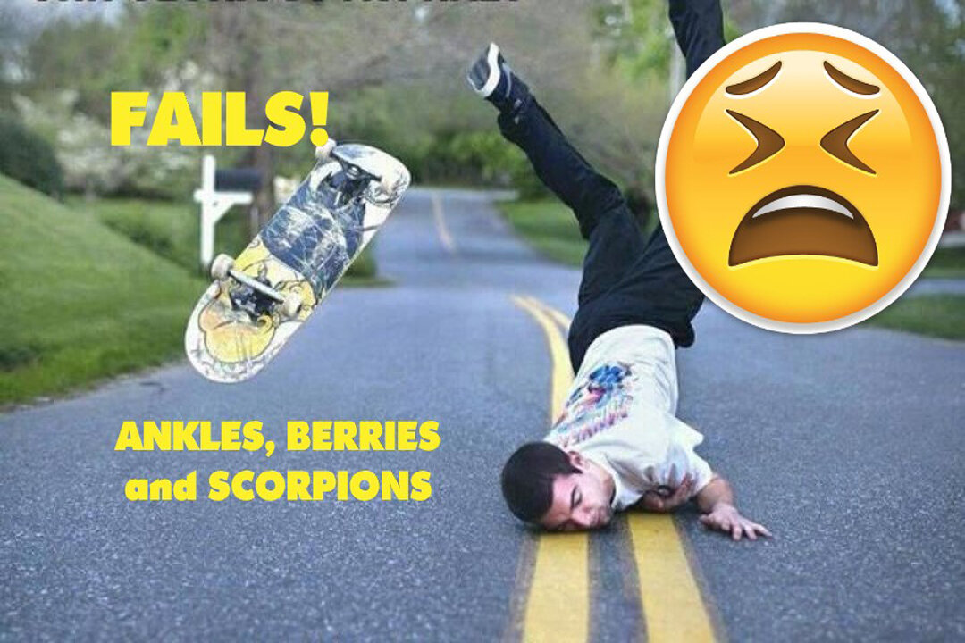 Skaters get Owned / Ankles, Berries and Scorpions - Dirty donut Ep.7