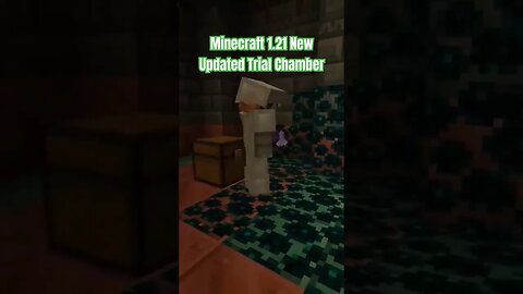 Minecraft 1.21 Update Trial Chamber #minecraft #shorts #short