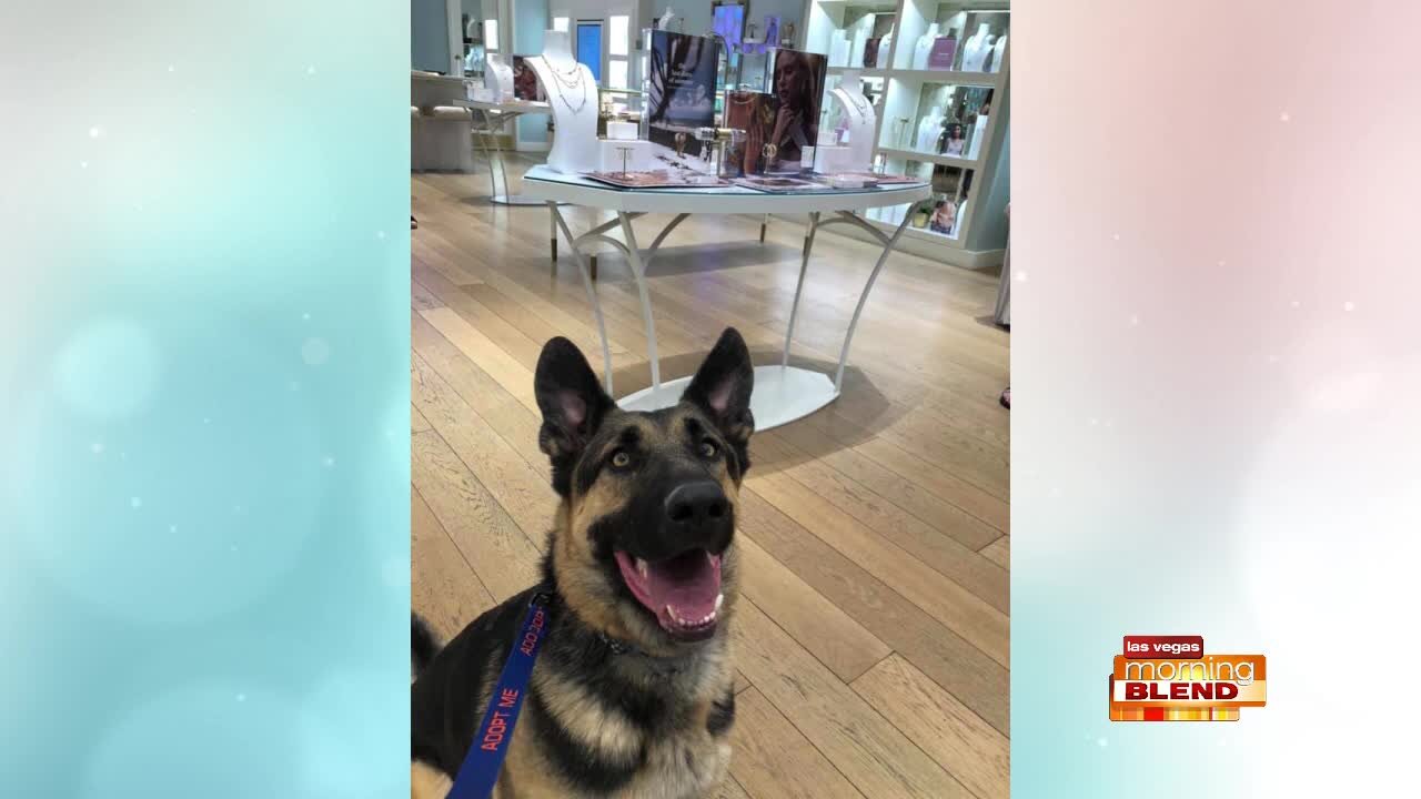 PICK OF THE LITTER: Luke!