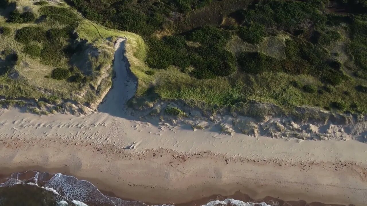 Aerial View of a beach in Canada