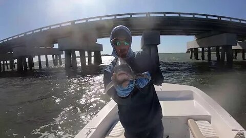 Fighting Heavy Winds