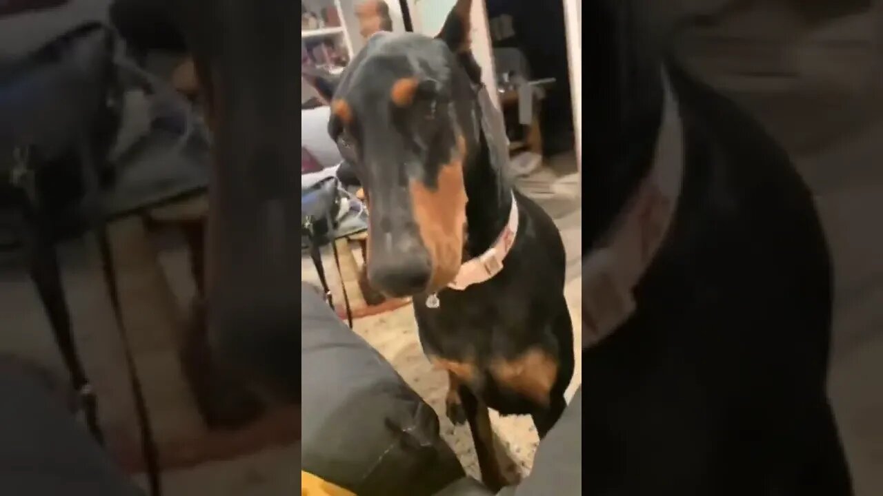 time to play with me π€·ππππΆπΆπΆπΆ