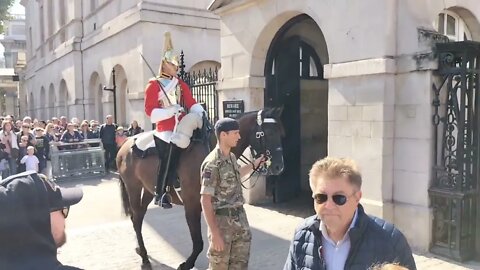 The kings guards horse spooked changing of the guards #horseguardsparade