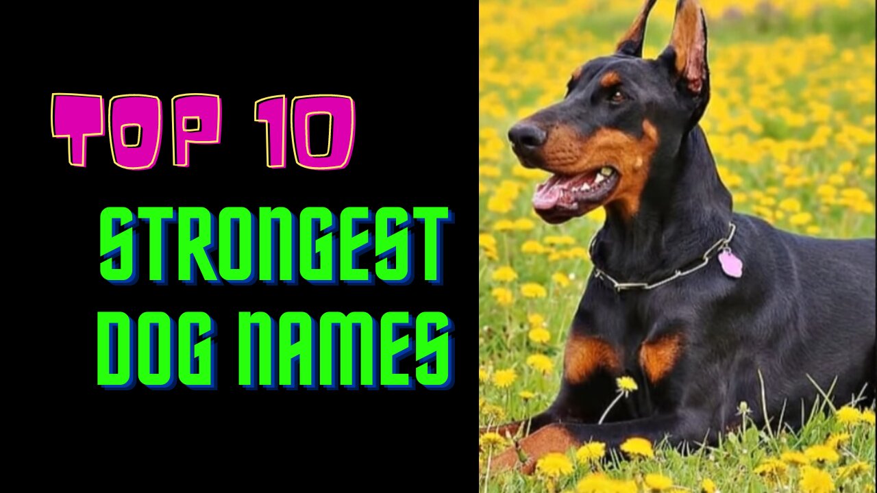 Top 10 strongest Dog Names .