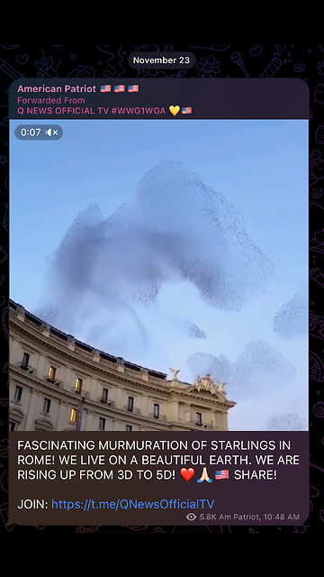 FASCINATING MURMURATION OF STARLINGS IN ROME!