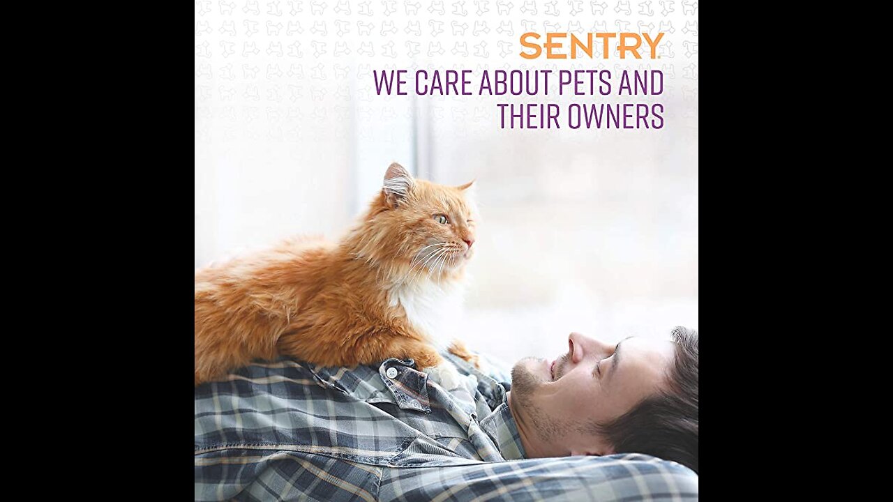 Sentry Behavior and Calming Collar for Cats, 1Ct