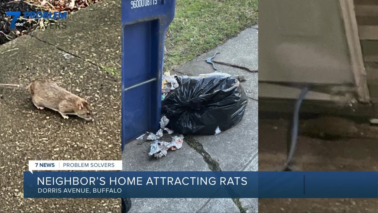 Neighbor's neglect leads to unwelcomed guests and fine by City of Buffalo