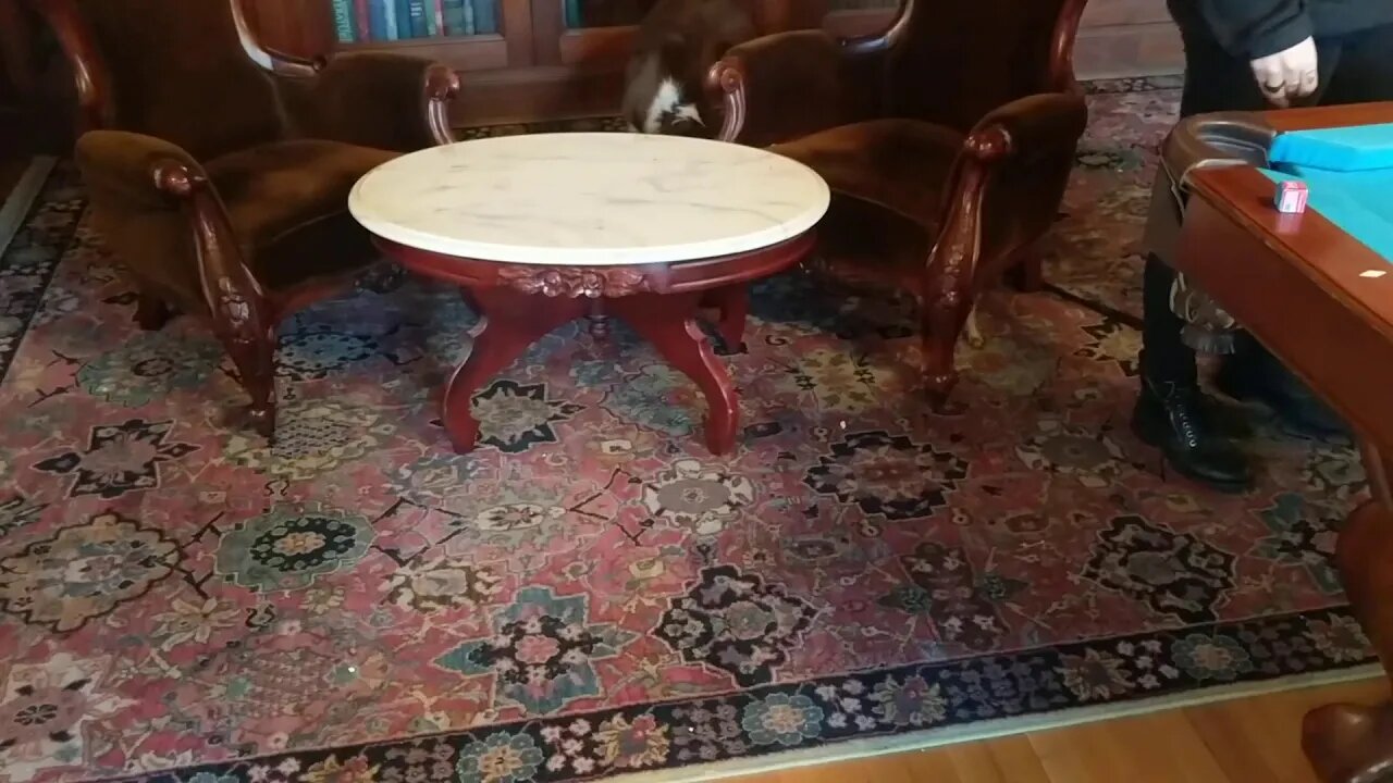 She can't get him under the furniture