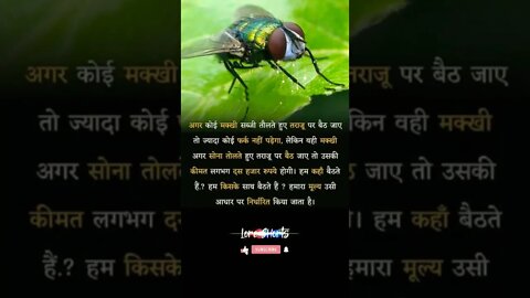 Motivational Quotes Intresting Facts #shorts #ytshorts #motivation