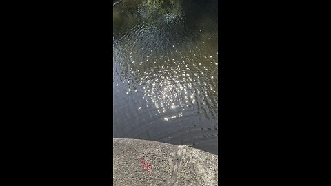 Words flow like water
