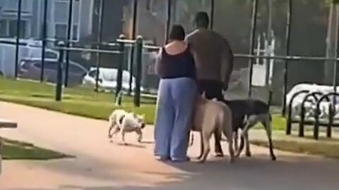 Pit Bull On The Loose Messed With The Wrong Guy And His Dog