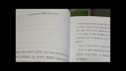 인생우화, 류시화, 동화, 폴란드, 헤움, 랍비, 천사, 자기집으로 여행을 떠난 남자, 부자상인, 바르샤바, 탈무드, 안재찬, 외눈박이물고기의사랑, 지금알고있는걸 그때도 알았더라면