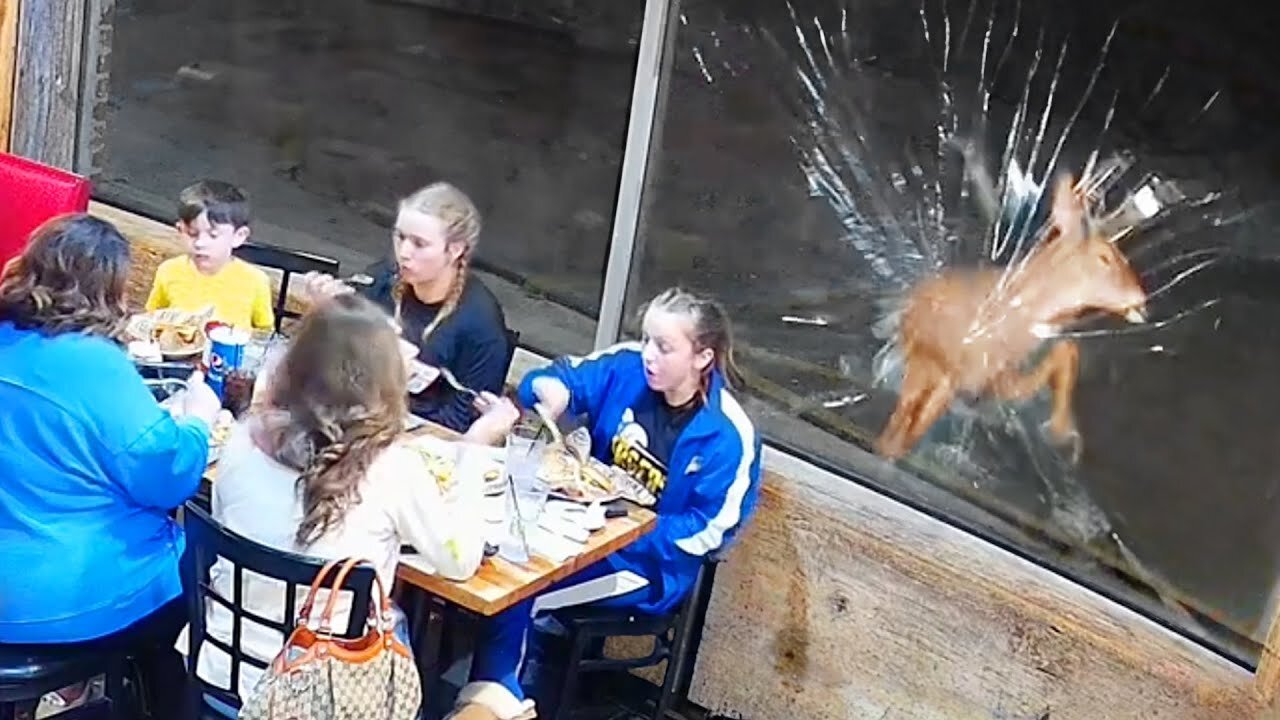 Deer Ruins Family Dinner