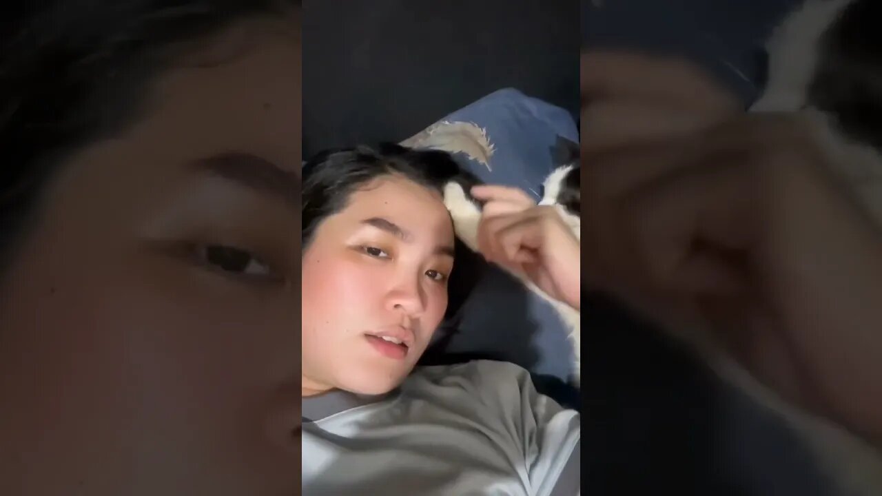 CAT MASSAGE SERVICE... PM IS THE KEY 😹