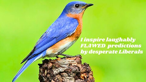 A Bluebird Inspires Hilariously Flawed Political Predictions